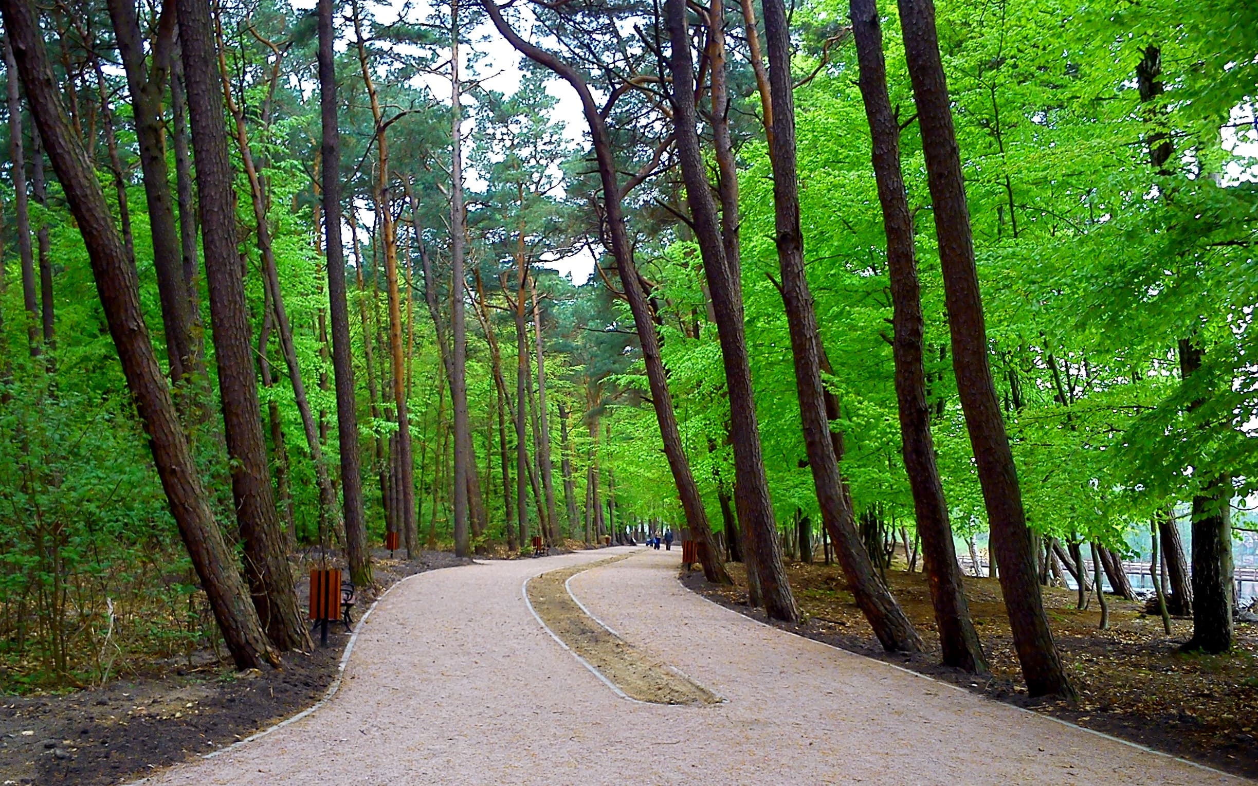 Labutí rybník s dřevěným můstkem v Přímořském parku v Łebě