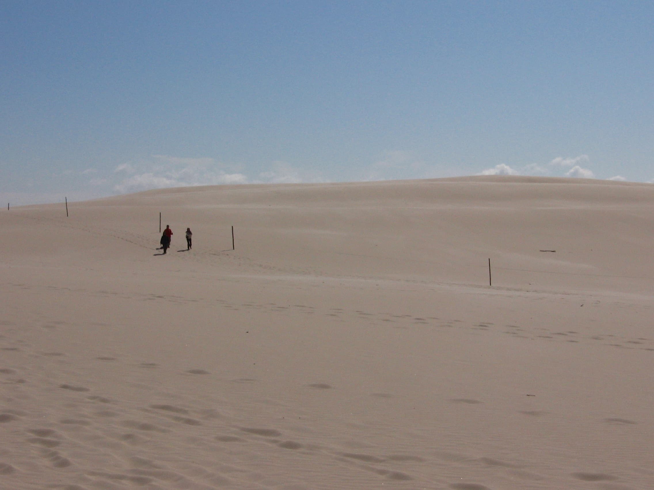 Sand dunes in Łeba