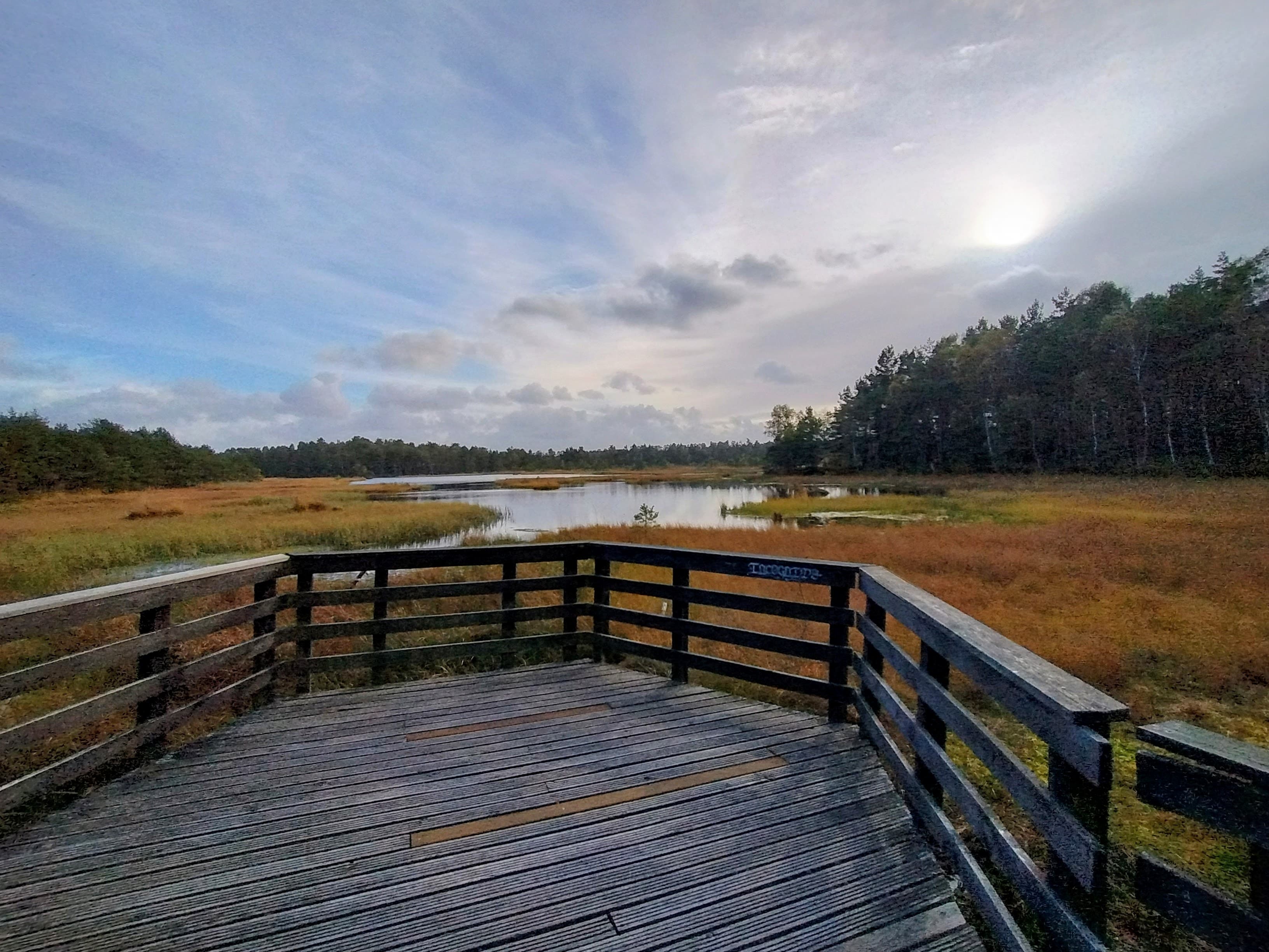 Heathlands and peat bogs in the Łebskie Bagno nature reserve – cycle trip from Łeba