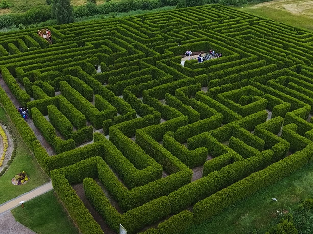 Maze