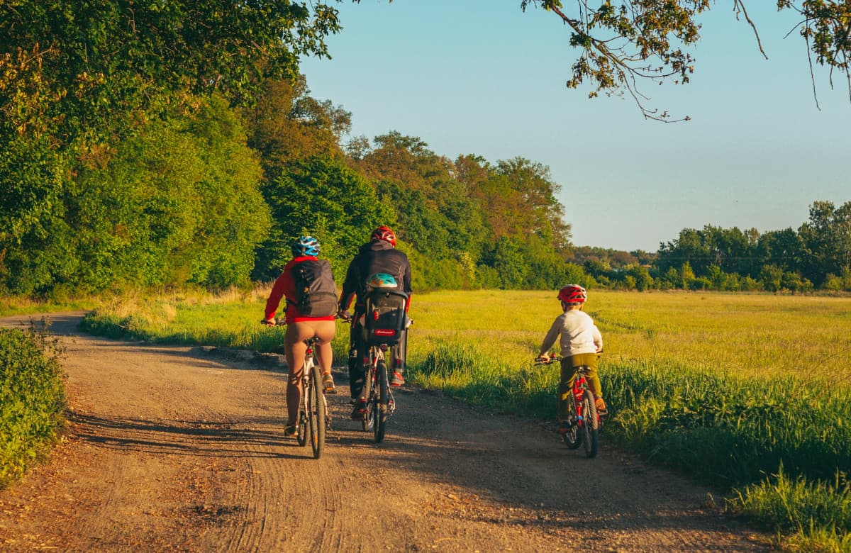 Family cycling in the forest