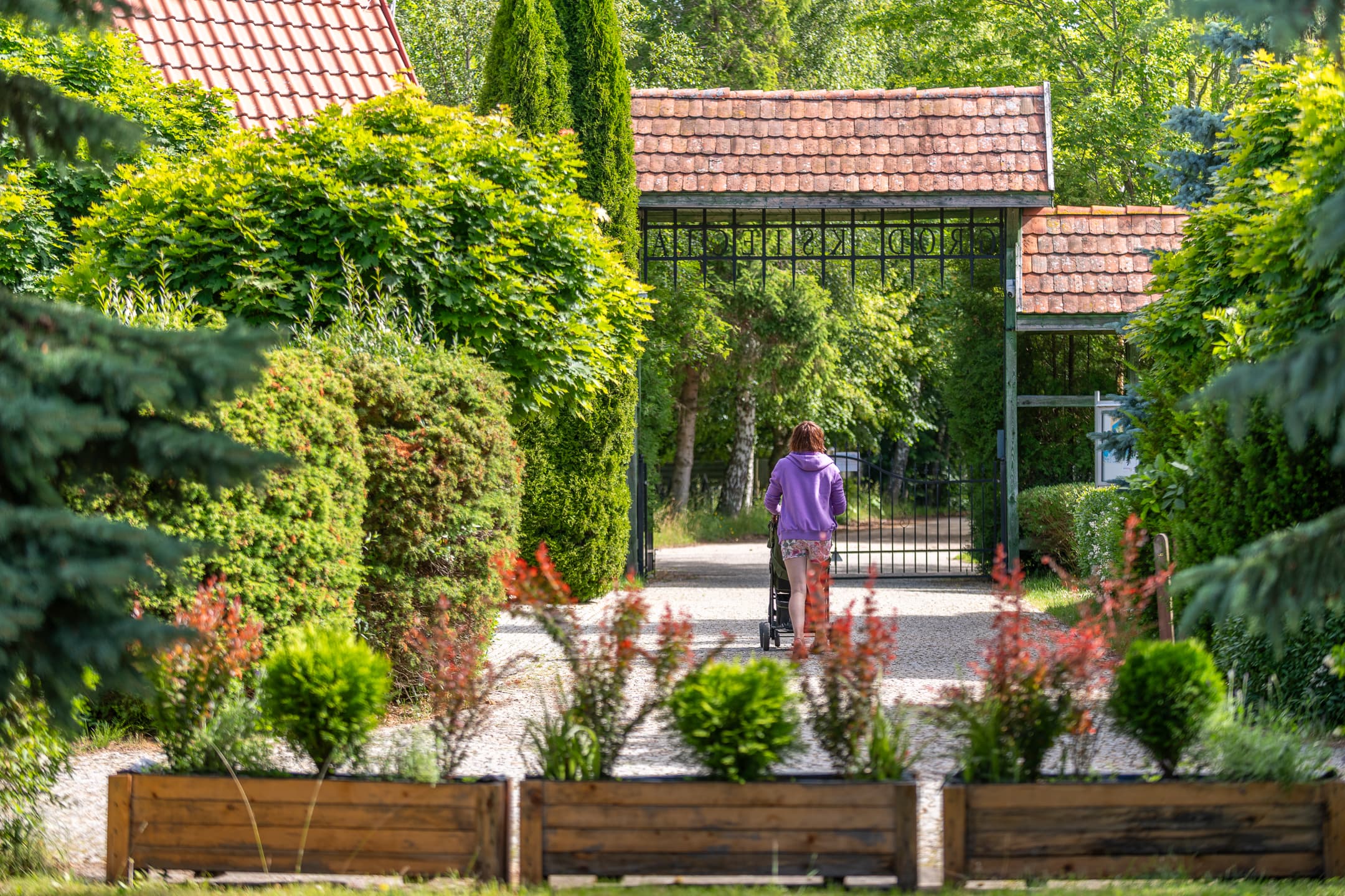 Woman with stroller walking among greenery