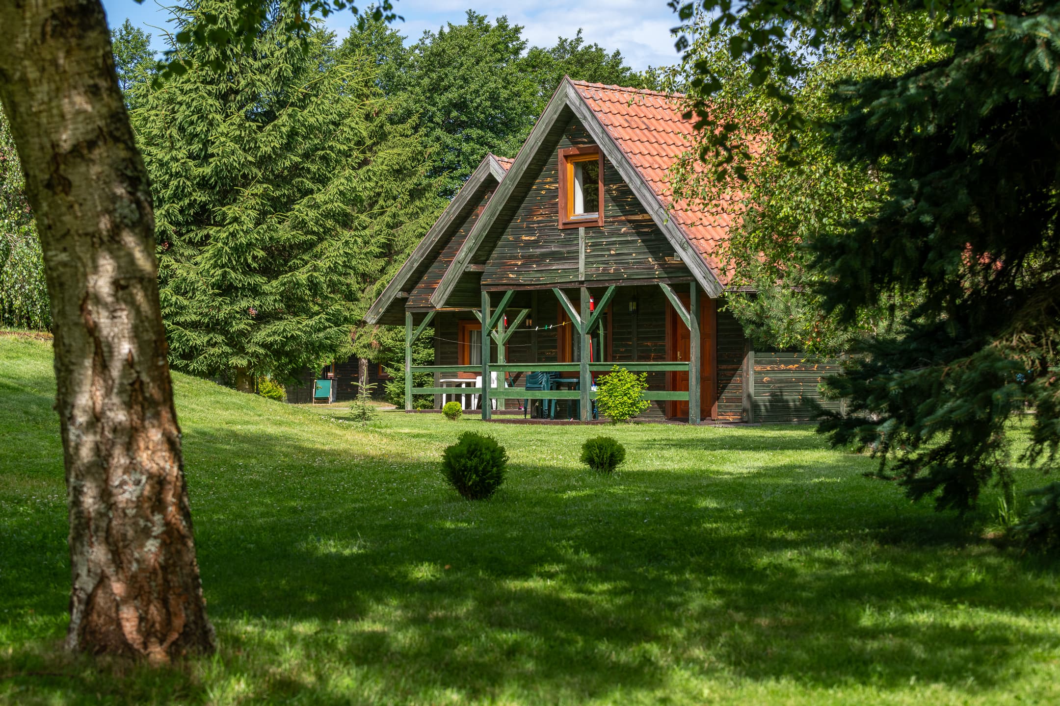 Mnóstwo zieleni z domkiem w tle